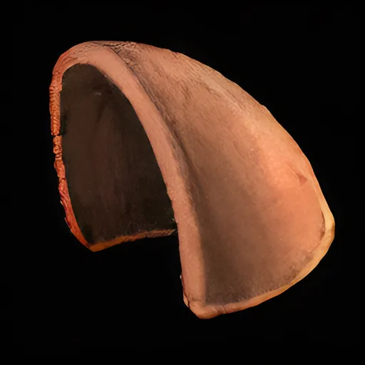 Coarse Shoulderguard Panel